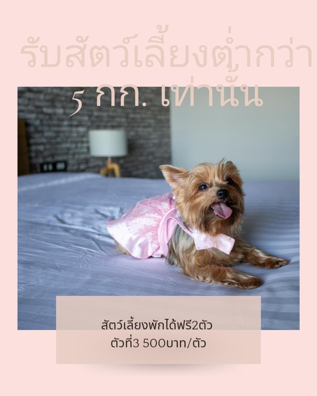 Get Zleep Premium Budget Hotel Chiang Mai Ngoại thất bức ảnh